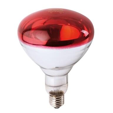 PHILIPS Infrared lamp 150 W | red (10 pieces in carton)