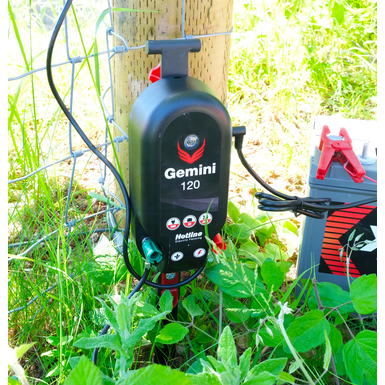 Gemini dual-powered energisers